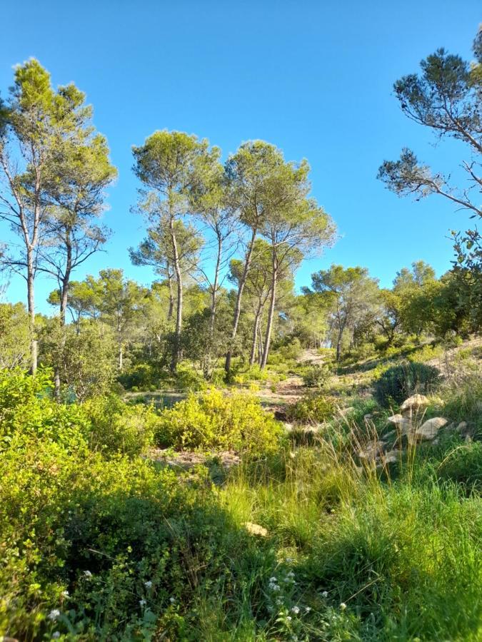 Studio Du Roc Des Garrigues Langlade Exterior foto